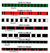 Ein Teil der Kennungen...