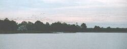 Stille in der Mobjack Bay