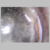 246-12_resin-floating.jpg