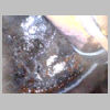 246-15_coated2.jpg